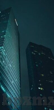 2018伦理大全-2018伦理大全，构建和谐社会的基石