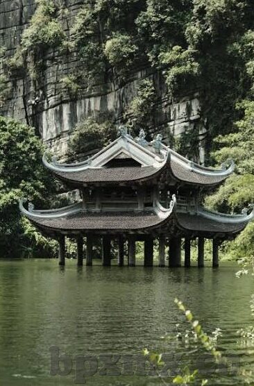 大象成视频入口-探索大象，从传统象征到现代视频入口的转变
