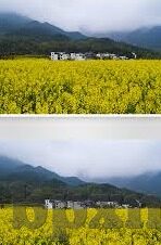 大象传媒安全网址入口-探索大象传媒，安全浏览的智慧之门