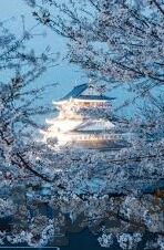 久久精品人妻-久久精品人妻，探寻现代家庭关系中的温情与理解